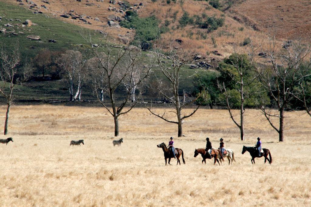Sani Valley Nature Lodges Himeville Εξωτερικό φωτογραφία
