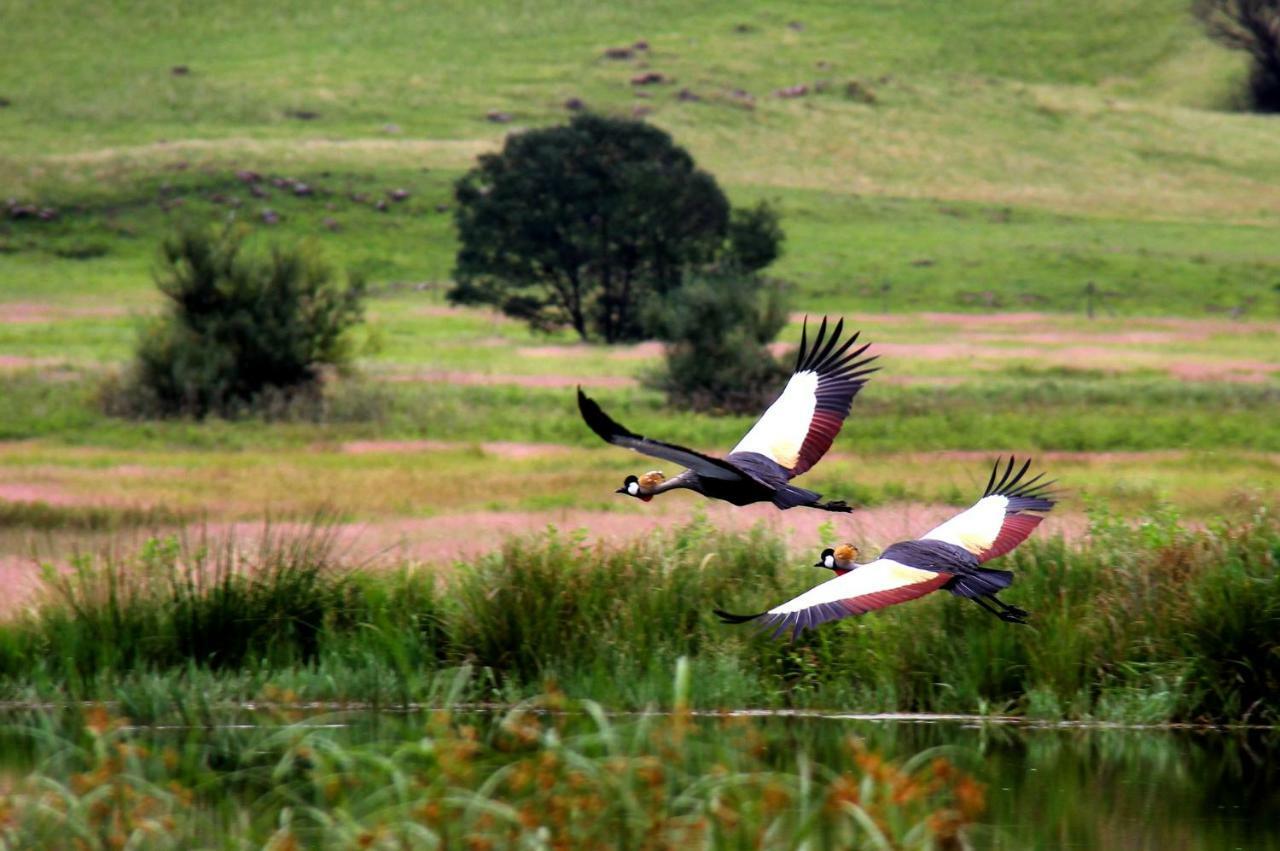 Sani Valley Nature Lodges Himeville Εξωτερικό φωτογραφία